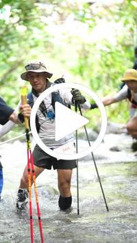 BIB:  <button type="button" onclick="openModal(26820980)" class="btn btn-primary btn-sm float-right" data-toggle="modal" data-target=".modal-high-quality">
                <i class="fa fa-download"></i> Download
                </button>